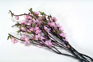 【2025年最新】TOKAIモバイルショップのサービスと特徴について徹底解説